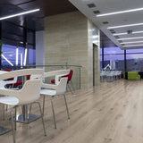 Tarkett Authentics 55 Gluedown Delicate Oak Clay 24513095 LVT