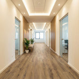 Gerflor Creation 40 Gluedown Cedar Dark Brown 1605
