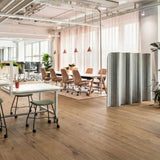 Gerflor Creation 40 Gluedown Cedar Golden 1606