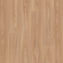 Tarkett Tapiflex Essential 50
