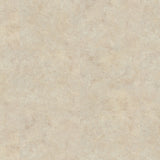 Polyflor Expona Control Gluedown  - Classic Limestone 7501