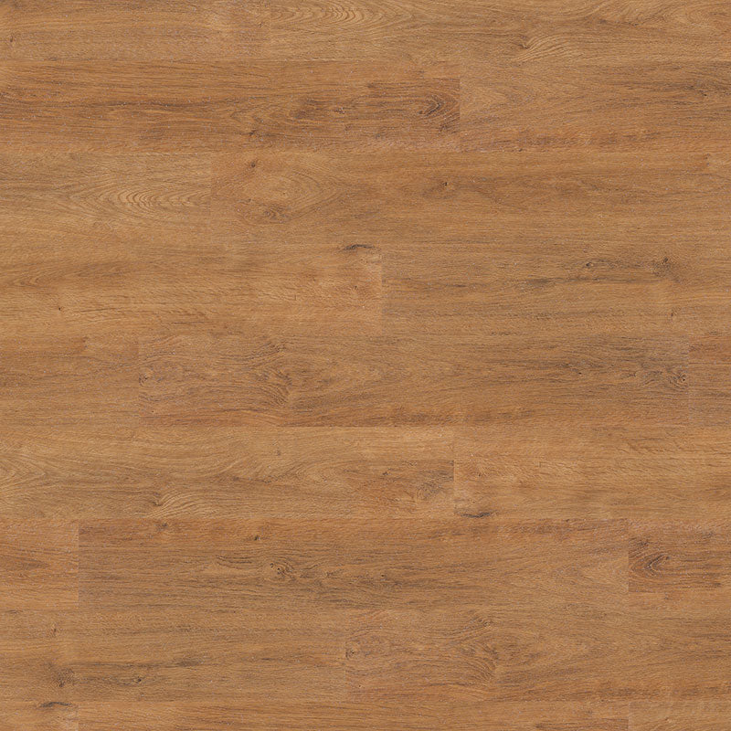 Polyflor Expona Control Gluedown  - Classic Oak 6503