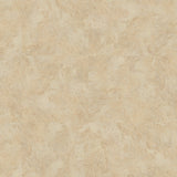 Polyflor Expona Control Gluedown  - Classic Yorkstone 7502