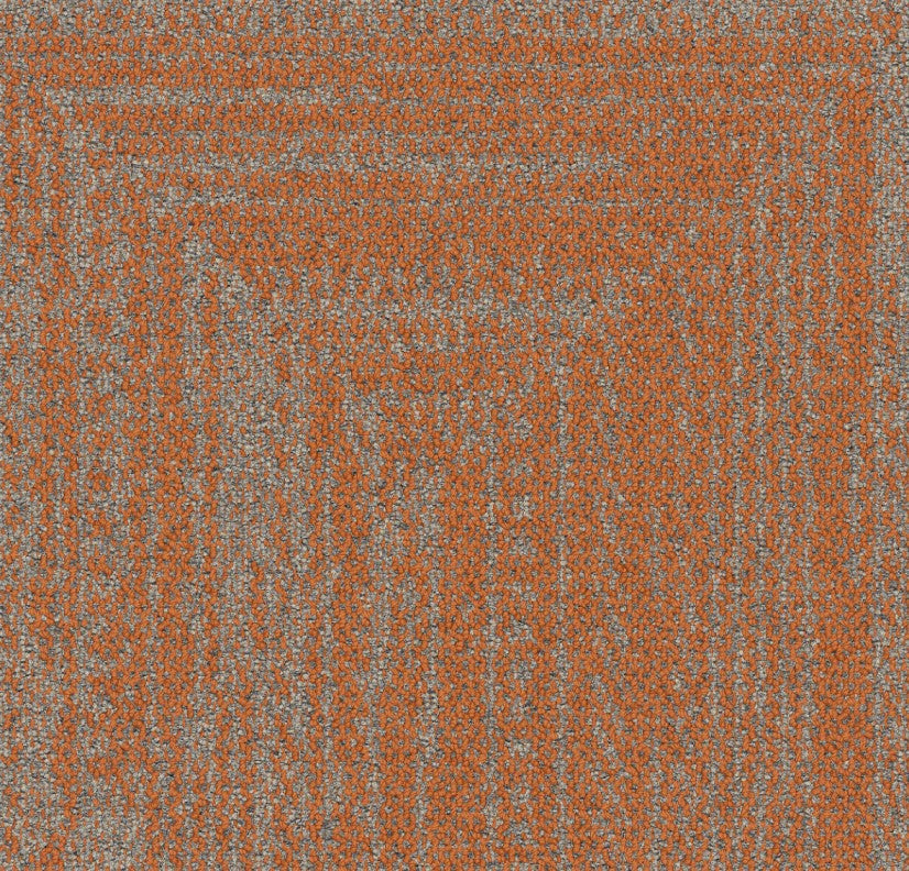 Clementine 9707003
