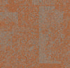 Clementine 9708003
