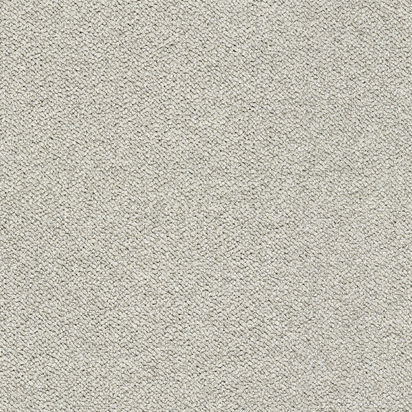 Coconut 3609