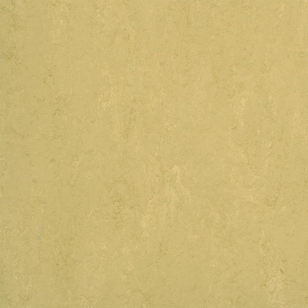 Forbo Marmoleum Modular Accent