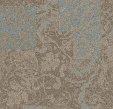 Cornflower 6640034

