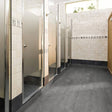 Tarkett Classics 30 Gluedown Composite Cool Grey 24533013 LVT