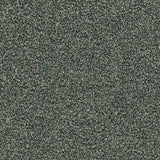 DSGNFORCE142B