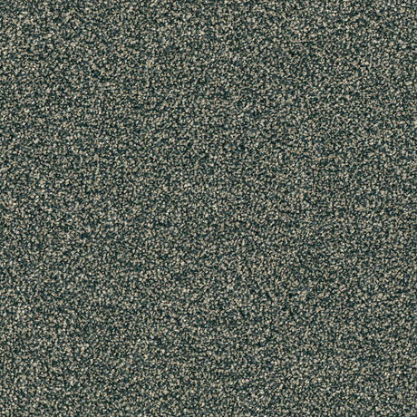 DSGNFORCE142B