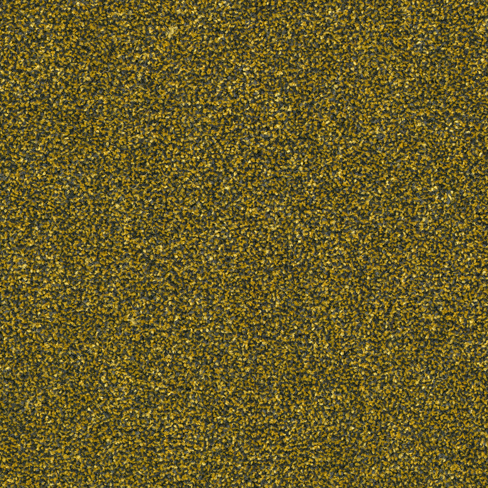 DSGNFORCE282B
