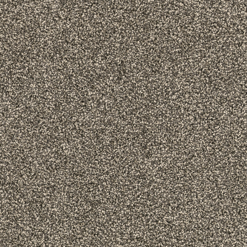 DSGNFORCE42A_0
