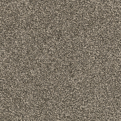 DSGNFORCE42A_0