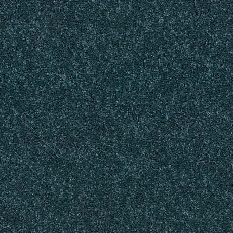 DSGNFORCE512B
