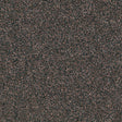 DSGNFORCE797B