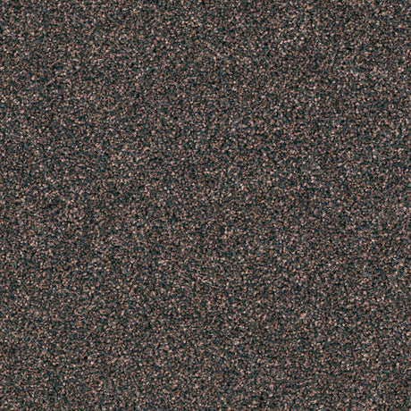 DSGNFORCE797B