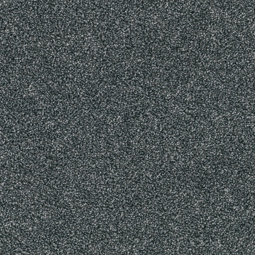DSGNFORCE95B