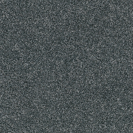 DSGNFORCE95B