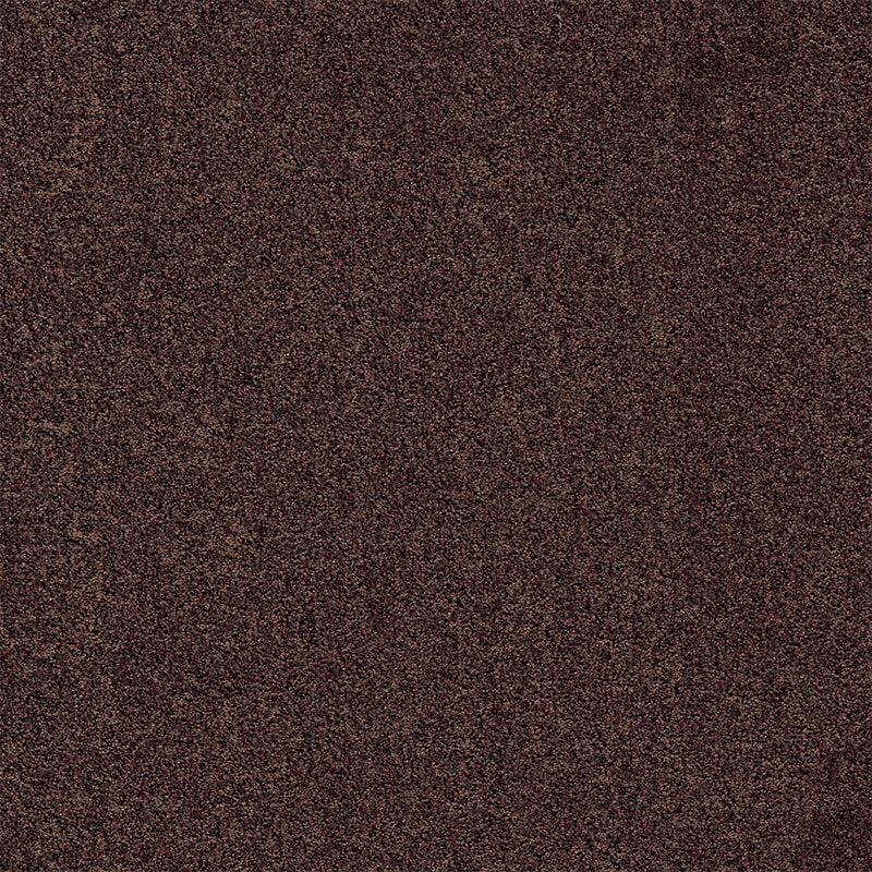 Modulyss Gleam