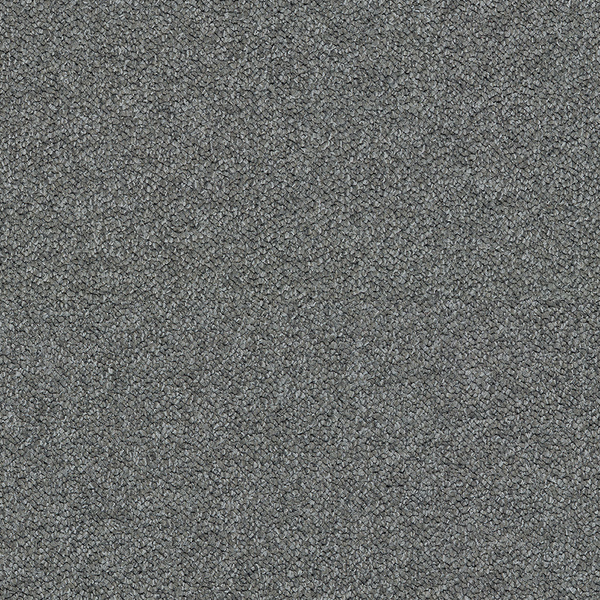 Elephant 3604