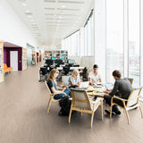 Tarkett Style Elle xf2 Linoleum