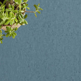 Tarkett Style Emme xf2 Linoleum