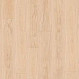 Tarkett Authentics 55 Gluedown Pearl Oak Dune 24513097