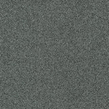 Modulyss Gleam