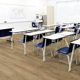 Tarkett Classics 55 Gluedown Antik Oak Natural 24513028 LVT