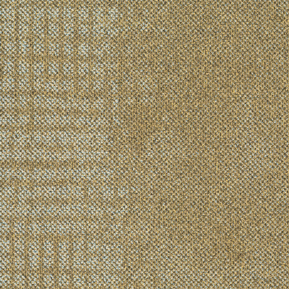 FADE-263_A