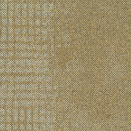 FADE-263_A