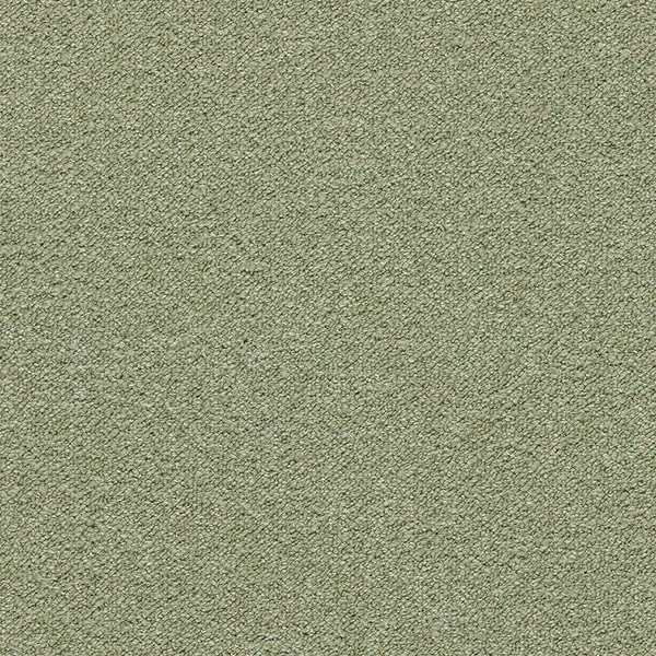 Fern 3627
