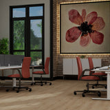 Balsan Elite Looselay Acoustic 55 - Forez Natural