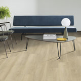 French Oak Shell FRO251