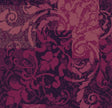 Fuchsia 6640031