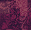 Fuchsia 6640031