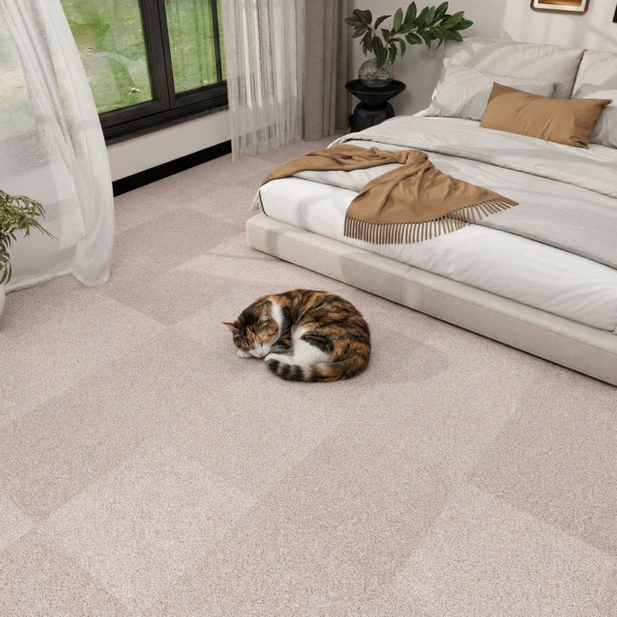 Nouveau Home Comforts