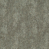 IVY-697_A