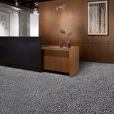 Interface Etched & Threaded E611 Granite Monolithic