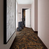 Interface Sampa
