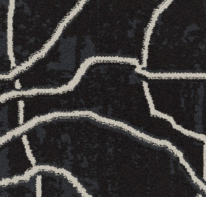 Interface Sampa Coal