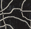 Interface Sampa Coal