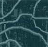 Interface Sampa Tropic