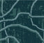 Interface Sampa Tropic
