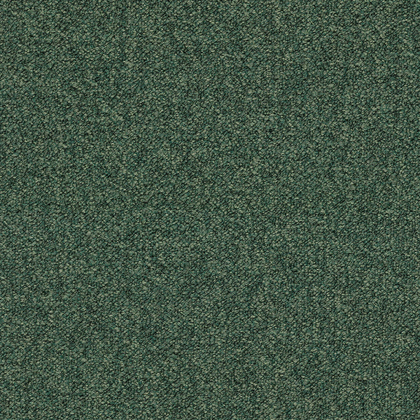 Ivy 3629