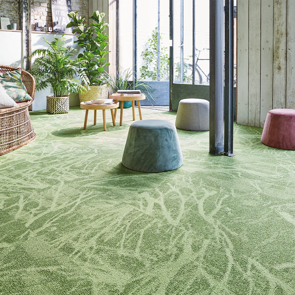 Balsan Forest
