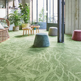 Balsan Forest