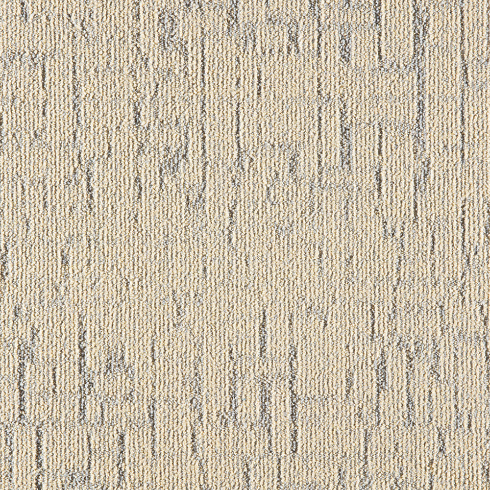 LITHO_208_B
