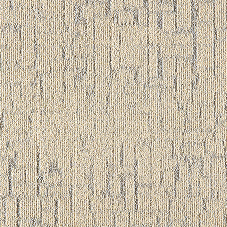LITHO_208_B
